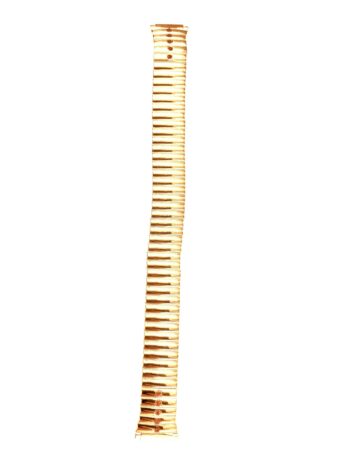 Speidel 11 ? 14 mmゴールドカラー拡張バンドWストーン
